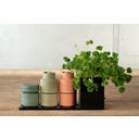 Brainstream Billund /Muskatnuss-Mühle