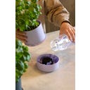 Brainstream Billund Selbstbewässerungstopf