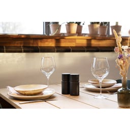 Brainstream Bergen Gewürzmühle 12 cm