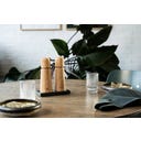 Brainstream Stockholm Gewürzmühlen Set