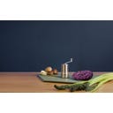 Brainstream Copenhagen Gewürzmühle Edelstahl