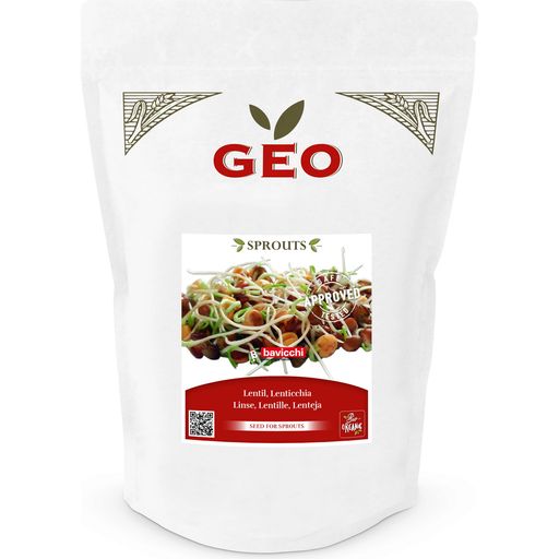 Bavicchi Organiczne nasiona na kiełki soczewicy - 600 g