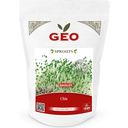 Bavicchi Organic Sprouting Chia Seeds - 400 g