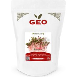 Bavicchi Semi per Germogli di China Rose Bio - 500 g
