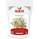 Bavicchi Organic Sprouting Green Pea Seeds - 400 g