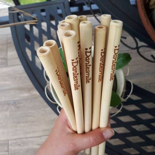 Dantesmile Set of 4 Reusable Bamboo Straws - 1 Set