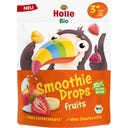 Bio Smoothie Drops Fruits s kokosovým mlékem, 15 g
