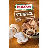 KOT&Aacute;NYI Steinpilze