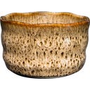 Demmers Teehaus Matcha Schaaltje Bruin-Beige