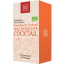 Demmers Teehaus BIO lesní ovoce Cocktail Quick-T - 25 čajových sáčků