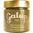 Galup Namaz iz pistacijeve kreme - 200 g