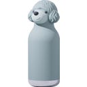 asobu Isolierflasche Pudel, 460 ml