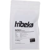 tribeka Bio Robusta z Indie