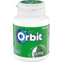 Orbit Basic - Spearmint - 64 g