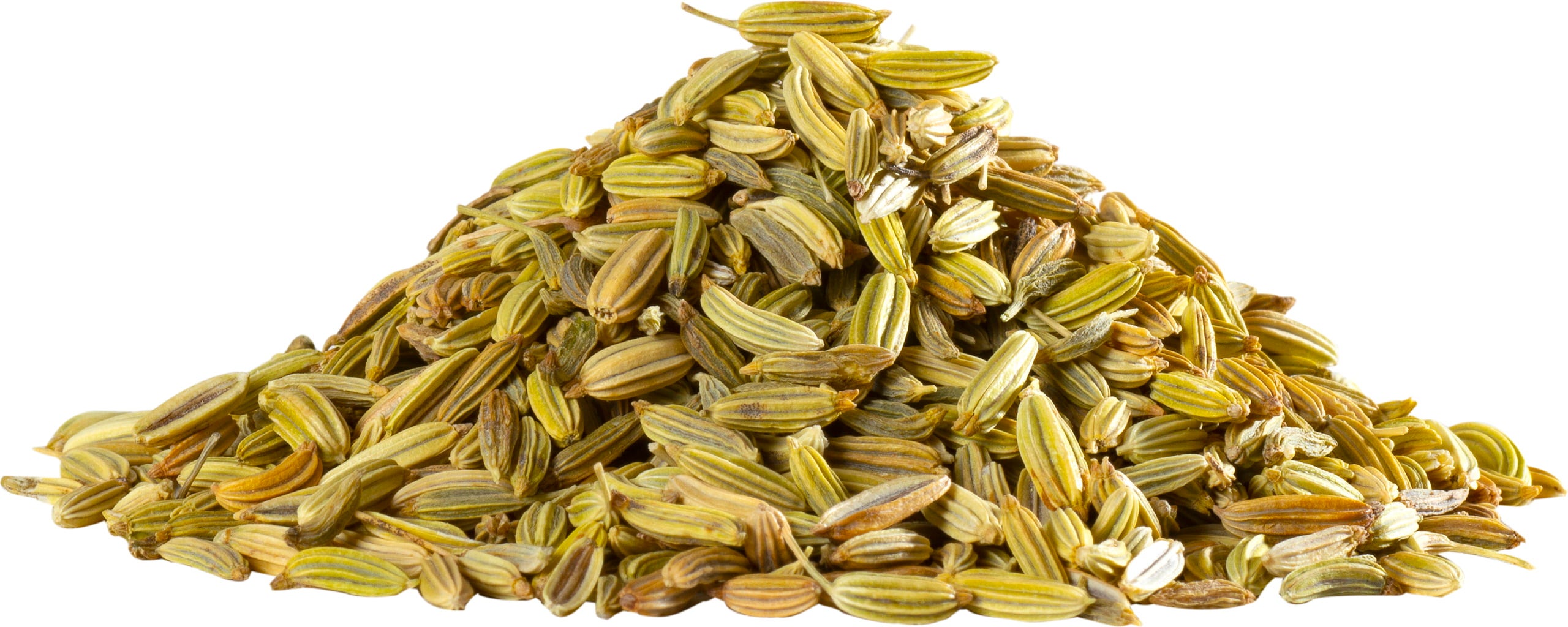 Herbaria Graines de Fenouil Entières Bio - 40 g