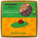 Bio MiXing Silvester-Schoko de Luxe: viel Glück im neuen Jahr! - 125 g