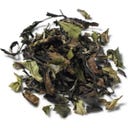 Demmers Teehaus Tè Bianco - Silver Cloud - 100 g