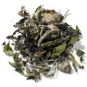 Demmers Teehaus Tè Bianco Bio - Fancy White Peony