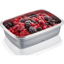 GEFU Frischhaltedosen-Set PREPPO, 3-teilig