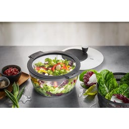 ROTARE Salad Spinner with Freshness Lid, 4 L