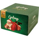 Galup Panettone - Pere e Cioccolato - 500 g