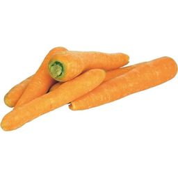 Gartenbau Krenn Karotten