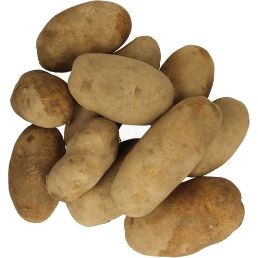 Gartenbau Krenn Kartoffel Dita