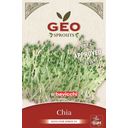 Bavicchi Organic Sprouting Chia Seeds - 15 g