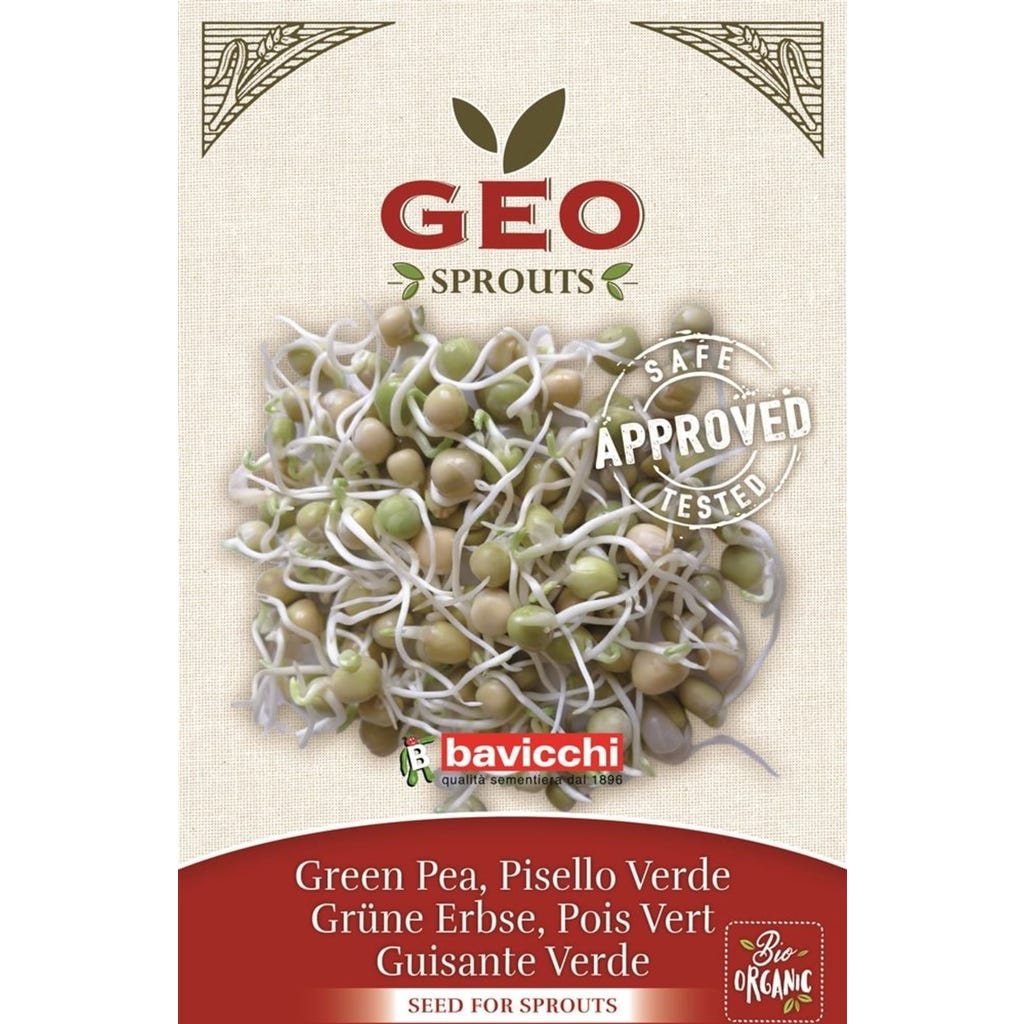 Piselli Con Semi E Radici. Semi Di Pisello Germogliato. Microverdi - Foto 3