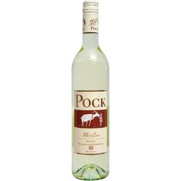 Weingut Pock Morillon- Chardonnay