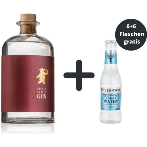 Angebot: Gin plus 12 Flaschen perfekt passendes Tonic Water - 1 Set