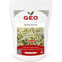 Semillas para Germinados de Cebollino Chino Bio - 150 g