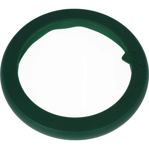 Flexible Glass & Silicone Lid - Large Single - Green