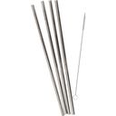 Dantesmile Set of 4 Reusable Stainless Steel Straws - 1 Set