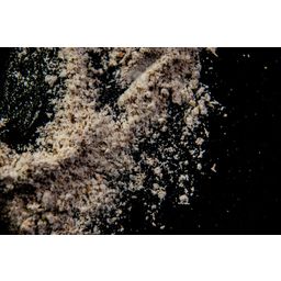 Mulino Sobrino Farina di Grano Tenero Integrale Bio - 1 kg