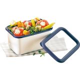 Enamel Food Storage Container with Lid - High