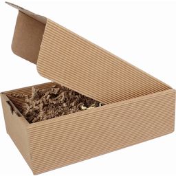 Etivera Rippled Cardboard Box, Small