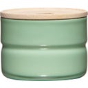 RIESS Tárolódoboz fedővel 230 ml - Zöld