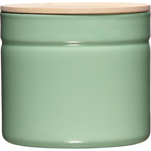 RIESS Storage Container with a Lid 1350 ml - Green