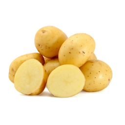 Hillebrand Waxy Potatoes (Ditta)