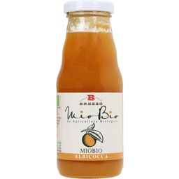 Brezzo Organic Apricot Nectar