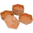 Bavicchi Geo Terracotta Sprout Tower - 1 Pc.