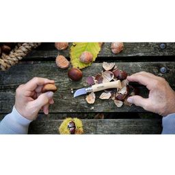 Nož za rezanje kostanjev oz. maronov N°7 z ročajem iz kostanjevega lesa - 1 k.