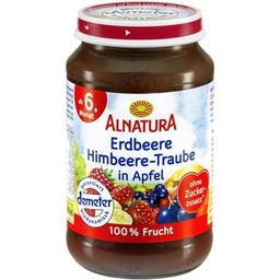 Biologisch Babyhapje Aardbei-Framboos-Druif-Appel - 190 g