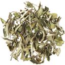 tea exclusive Biologische Pai Mu Tan Witte Thee - 100 g