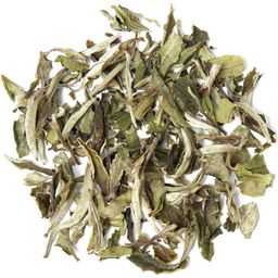 tea exclusive Bio Pai Mu Tan biała herbata