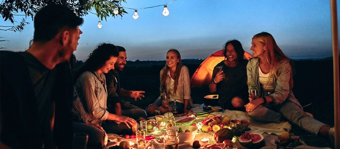 A Gourmet Picnic with the Perseids!