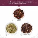 Biologische Cadeau Theecollectie “Winter Balance” - 12 piramidezakjes