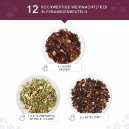 Biologische Cadeau Theecollectie “Winter Balance” - 12 piramidezakjes