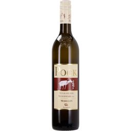Weingut Pock Morillon Chardonnay DAC 2021